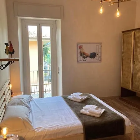 Il Gallo